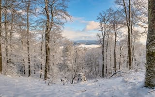 Картинка Германия, Rheinland-Pfalz, снеге, Природа, снегу, Снег, Деревья, снега, зимние, деревьев, дерево, Пейзаж, дерева, Зима