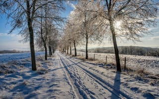 Картинка Германия, Rheinland-Pfalz, снегу, Зима, дерева, дерево, снега, снеге, Природа, Деревья, деревьев, Дороги, зимние, Снег