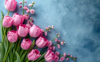 Картинка розовых, Тюльпаны, поздравительной, Розовый, открытки, розовая, Шаблон, цветок, розовые, Цветы, тюльпан
