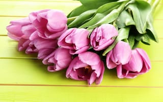 Картинка Букеты, тюльпан, Цветы, букет, цветок, Тюльпаны