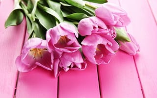 Картинка букет, розовая, розовые, цветок, Доски, Букеты, Тюльпаны, Розовый, Цветы, розовых, тюльпан