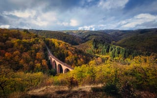 Картинка Германия, Hubertusviadukt, лес, Мосты, мост, Природа, Леса