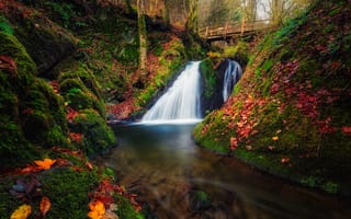 Картинка Германия, Eifel, Водопады, река, осенние, Реки, мост, Природа, лес, Осень, речка, Мосты, Леса