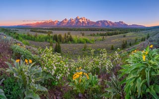 Картинка штаты, Панорама, Teton, Горы, Grand, Park, Природа, National, Парки, США, парк, Пейзаж, америка, панорамная, гора