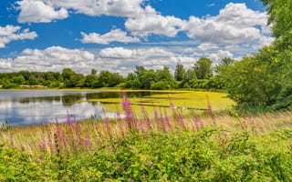 Картинка Германия, East, Лето, Природа, Eifel, облачно, Озеро, Облака, облако