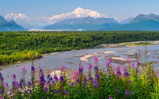 Картинка америка, Denali, National, река, Парки, Пейзаж, Реки, речка, Горы, штаты, США, парк, гора, Природа, Park