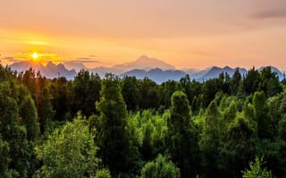 Картинка америка, Denali, Пейзаж, Природа, Park, Рассветы, закат, рассвет, США, лес, Парки, парк, Леса, National, штаты, закаты