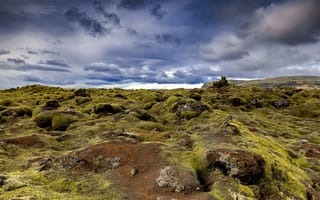 Картинка Исландия, Mossy, Fields, мхом, Природа, Lava, мха, Камни, Мох, Камень