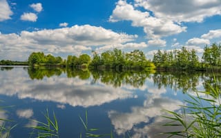 Картинка Германия, Rheinland-Pfalz, облачно, облако, Облака, Природа, Пруд, отражается, Отражение, отражении