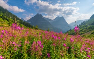 Картинка США, Glacier, National, америка, гора, Природа, штаты, Облака, Park, облако, Горы, парк, облачно, Парки, Пейзаж