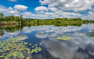 Картинка Германия, Niederkail, отражается, отражении, Природа, Озеро, Отражение, облачно, Облака, облако, Лето