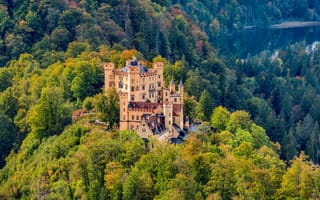 Картинка Бавария, Германия, город, Леса, Castle, лес, замок, Замки, Города, Hohenschwangau