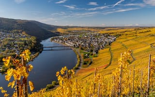 Картинка Германия, Rheinland-Pfalz, холм, Осень, осенние, речка, Пейзаж, холмов, река, Виноградник, Холмы, Реки, Природа