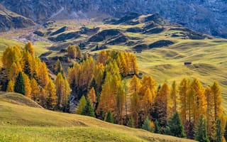 Картинка Италия, Dolomites, Горы, Природа, гора, деревьев, Осень, дерева, Деревья, дерево, осенние