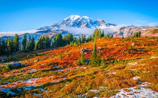 Картинка штаты, Mount, Горы, Park, гора, Rainier, National, парк, Парки, америка, Природа, США, Пейзаж