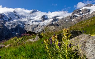 Картинка альп, Швейцария, Горы, гора, Природа, траве, Альпы, Трава, Пейзаж