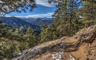 Картинка США, Colorado, Деревья, Тропа, дерева, деревьев, тропы, гора, Горы, тропинка, дерево, Природа, америка, штаты