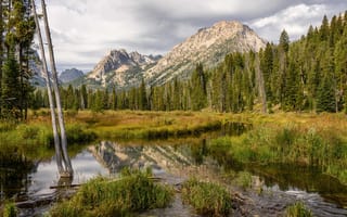 Картинка США, Sawtooth, Idaho, лес, Леса, штаты, америка, Природа, гора, Горы