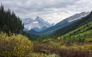 Картинка Канада, Ель, ели, облачно, Облака, Пейзаж, облако, гора, Природа, Горы