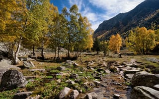 Картинка Андорра, Горы, Камень, Деревья, Камни, дерево, гора, Осень, дерева, Природа, деревьев, осенние