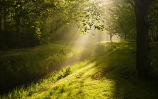 Картинка Лучи, света, Flevoland, голландия, Нидерланды, река, Природа, лес, Леса, речка, Реки
