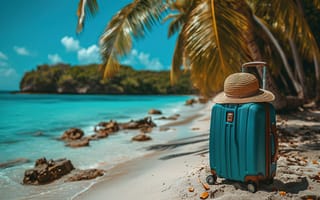 Картинка Море, шляпы, Чемодан, отдыхает, чемоданы, Отдых, Шляпа, пальма, пальм, Природа, шляпе, Пальмы, чемоданом, релакс