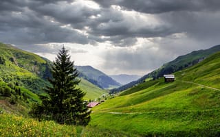 Картинка альп, Швейцария, Горы, Ель, ели, облако, Дома, Graubünden, Здания, гора, Альпы, Природа, облачно, Облака, Луга