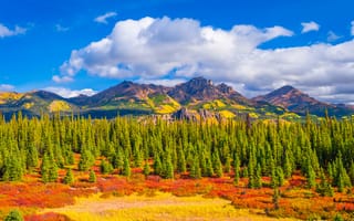 Картинка США, Denali, Парки, National, облачно, гора, Горы, штаты, облако, Пейзаж, парк, Park, Облака, америка, Природа