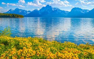 Картинка америка, Grand, Озеро, Teton, National, штаты, Горы, гора, парк, Пейзаж, Природа, США, Park, Парки