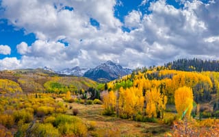 Картинка США, Sneffels, Пейзаж, америка, штаты, Природа, облако, лес, гора, осенние, Горы, облачно, Осень, Облака, Леса