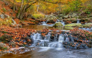 Картинка Листва, Бельгия, река, Осень, речка, Природа, Реки, Листья, лист, осенние