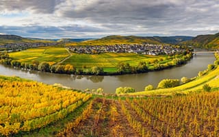 Картинка Германия, Панорама, осенние, река, панорамная, речка, Реки, Осень, Природа, Mosel, Виноградник