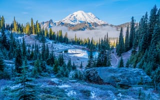 Картинка америка, Mount, National, парк, Пейзаж, штаты, Park, гора, США, Парки, ели, Rainier, Горы, Ель, Природа