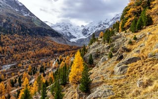 Картинка Швейцария, Graubünden, Природа
