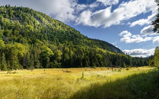 Картинка Канада, Parc, парк, Поля, du, Горы, National, Природа, Пейзаж, Парки, Mont-Tremblant, облако, Облака, гора, облачно