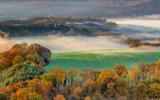Картинка Германия, Панорама, деревьев, холмов, Холмы, Деревья, Пейзаж, панорамная, Осень, тумана, тумане, Rheinland-Pfalz, Природа, дерева, Поля, осенние, дерево, холм, Туман