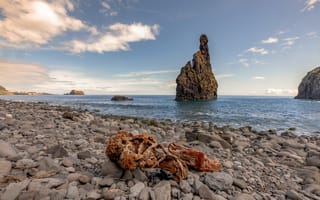 Картинка Португалия, Madeira, Природа, Скала, скале, Камни, Море, Побережье, скалы, берег, Утес, Камень