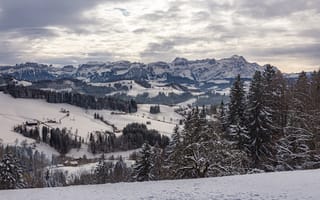 Картинка альп, Швейцария, Горы, Природа, Ель, Пейзаж, снегу, Appenzellerland, снеге, снега, гора, Снег, Альпы, ели