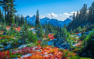 Картинка США, Mount, гора, Парки, Пейзаж, Горы, Park, Осень, National, осенние, Rainier, парк, штаты, Природа, америка