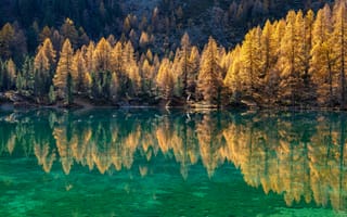 Картинка Швейцария, Graubünden, Озеро, дерево, Природа, осенние, Леса, лес, Деревья, Отражение, отражении, деревьев, дерева, отражается, Осень