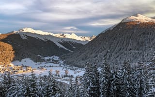 Картинка Швейцария, Ель, Природа, Пейзаж, гора, ели, Горы