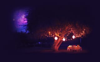 Картинка ночь, салюты, дерево, фейерверк, лето, стол, фонари