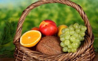 Картинка апельсин, персик, нектарин, корзина, фрукты, лимон, виноград, кокос