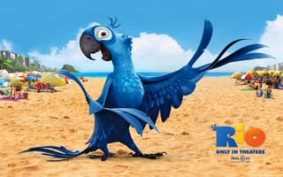 Картинка перья, рио, птица, песок, мультфильм, рио-де-жанейро, клюв, попугай, голубчик, ярко, пляж, красочно, голубой ара, крылья