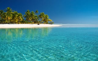 Картинка море, вода прозрачность, острова Кука, пальмы, тихий океан, пляж
