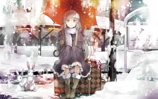Картинка сидит, девушка, карие глаза, снег, серебряные волосы, кролик, зонт, платье
