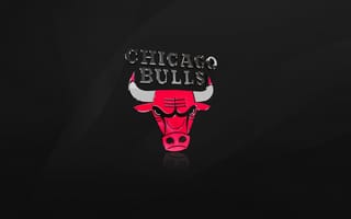 Картинка черный, быки, баскетбол, Chicago bulls, логотип, чикаго, nba