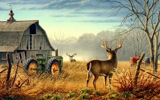 Обои трактор, олень, осень