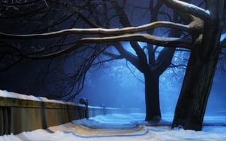 Картинка деревья, парк, снег, свет, зима, природа, стена, алейка, ночь