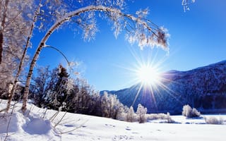 Обои зима, природа, дерево, горы, снег, солнце